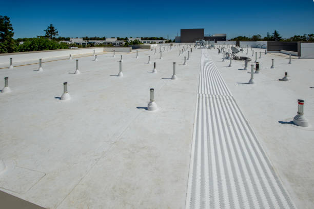 Best Skylight Installation and Repair  in Waipahu, HI